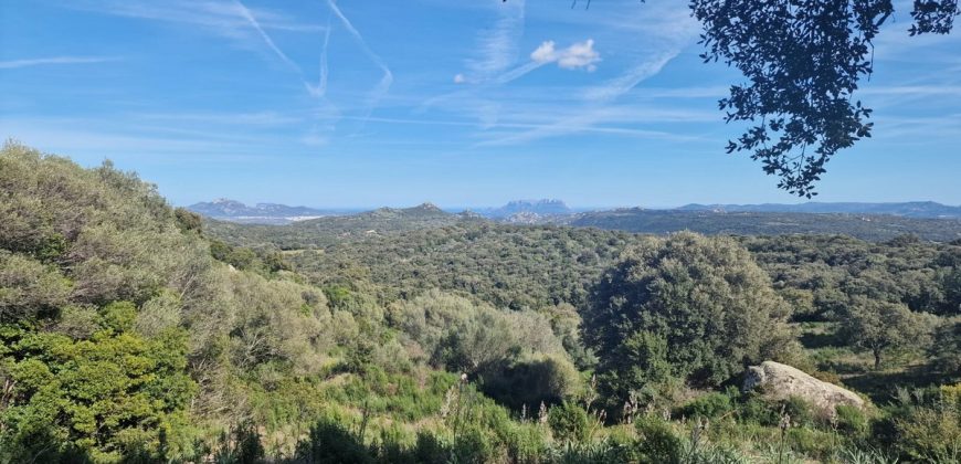 Buildable Land For Sale Olbia ref Teggja Di L’ea