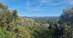 Buildable Land For Sale Olbia ref Teggja Di L’ea