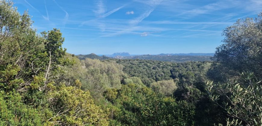 Buildable Land For Sale Olbia ref Teggja Di L’ea