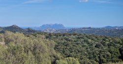 Buildable Land For Sale Olbia ref Teggja Di L’ea