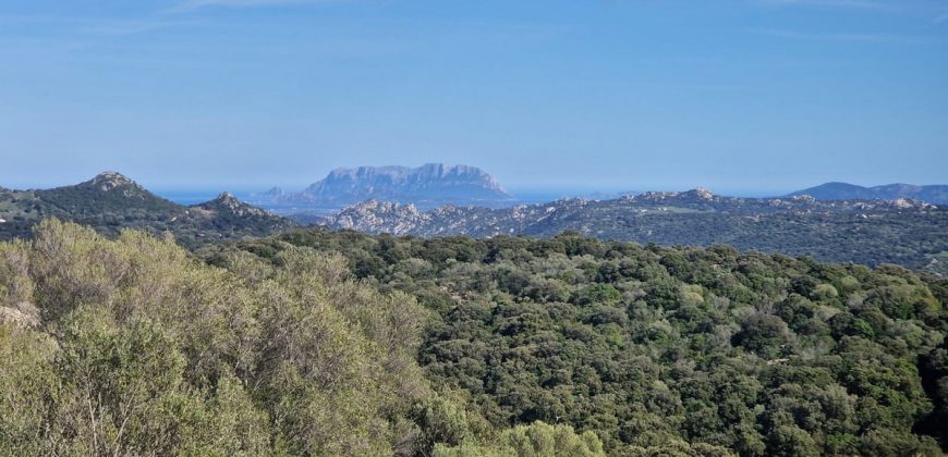 Buildable Land For Sale Olbia ref Teggja Di L’ea