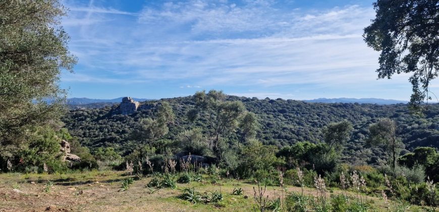 Buildable Land For Sale Olbia ref Teggja Di L’ea