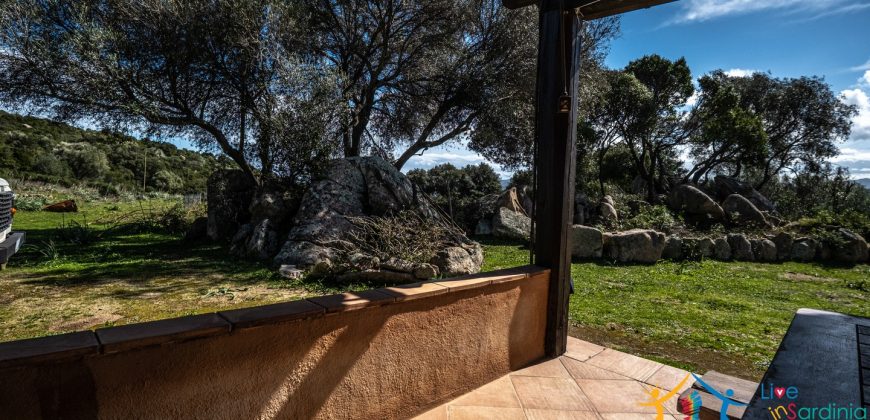 Country Home For Sale Nearby Porto Cervo Sardinia Ref Biagio 2