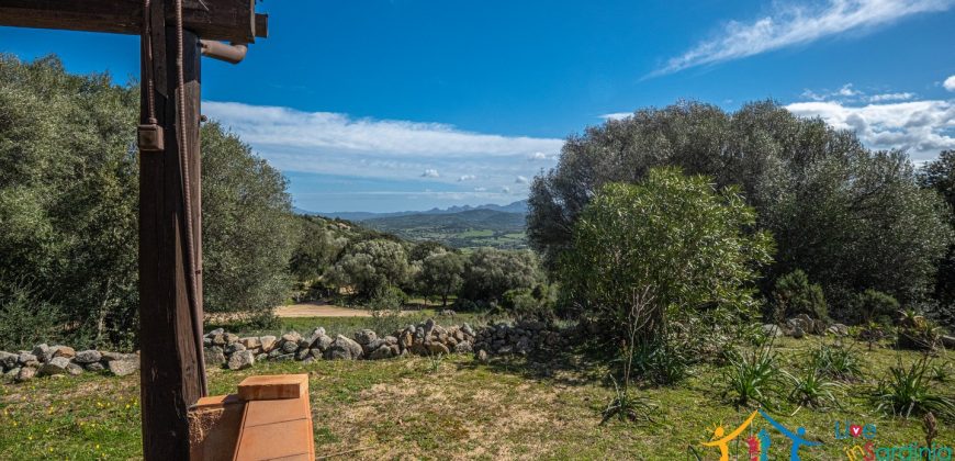 Country Home For Sale Nearby Porto Cervo Sardinia Ref Biagio 2