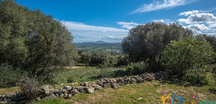 Country Home For Sale Nearby Porto Cervo Sardinia Ref Biagio 2