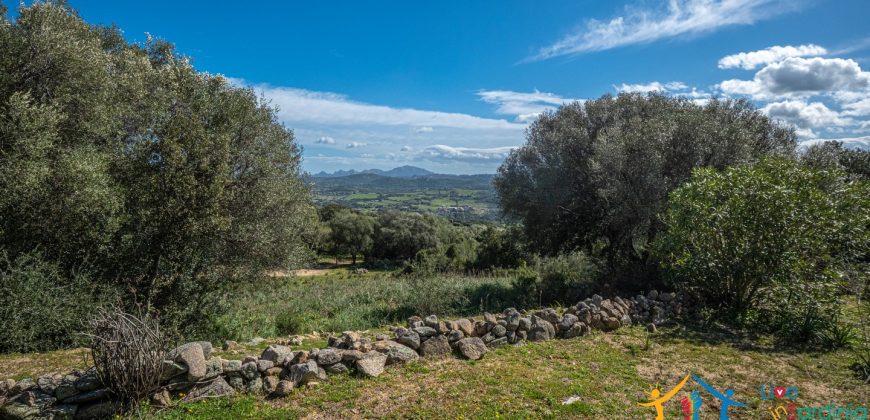 Country Home For Sale Nearby Porto Cervo Sardinia Ref Biagio 2