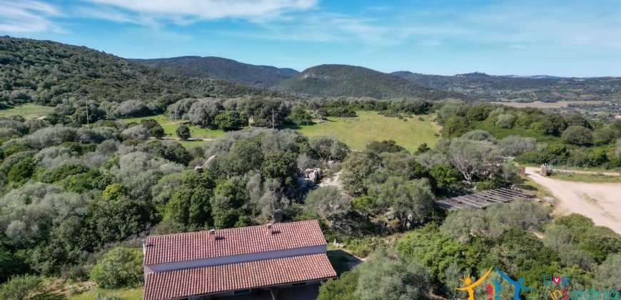 Country Home For Sale Nearby Porto Cervo Sardinia Ref Biagio 2