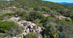 Country Home For Sale Nearby Porto Cervo Sardinia Ref Biagio 2