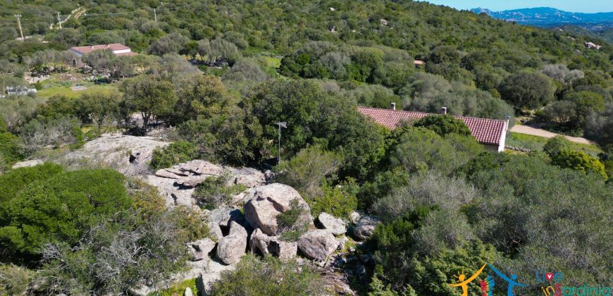 Country Home For Sale Nearby Porto Cervo Sardinia Ref Biagio 2