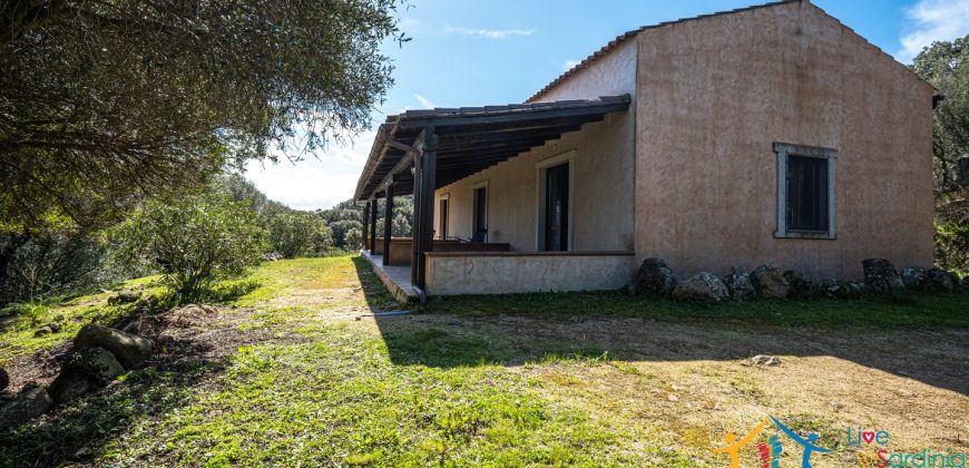 Country Home For Sale Nearby Porto Cervo Sardinia Ref Biagio 2