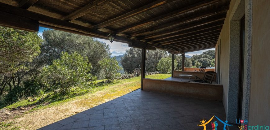 Country Home For Sale Nearby Porto Cervo Sardinia Ref Biagio 2