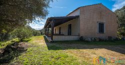 Country Home For Sale Nearby Porto Cervo Sardinia Ref Biagio 2