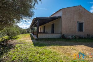 Country Home For Sale Nearby Porto Cervo Sardinia Ref Biagio 2