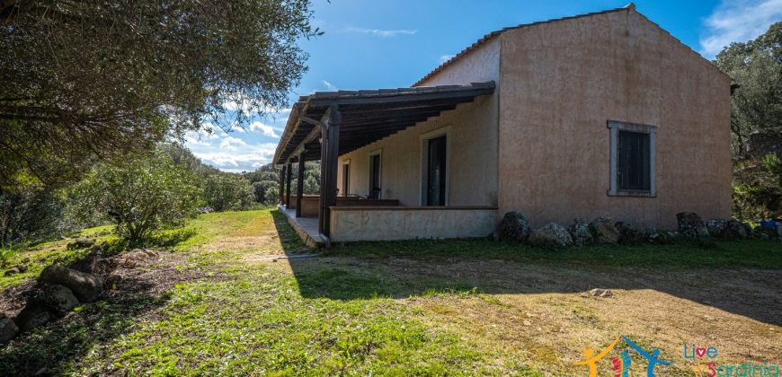 Country Home For Sale Nearby Porto Cervo Sardinia Ref Biagio 2