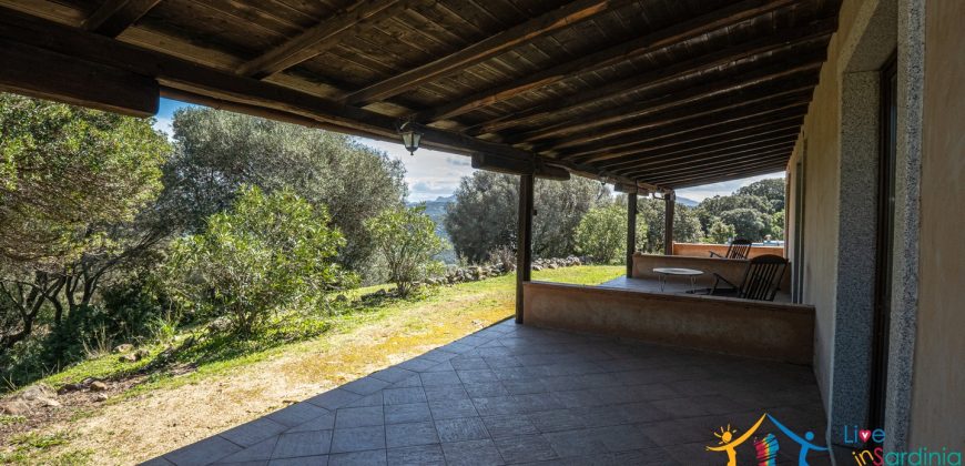 Country Home For Sale Nearby Porto Cervo Sardinia Ref Biagio 2