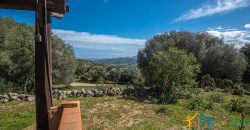 Country Home For Sale Nearby Porto Cervo Sardinia Ref Biagio 2