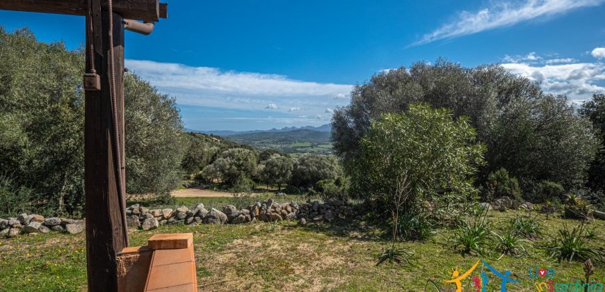 Country Home For Sale Nearby Porto Cervo Sardinia Ref Biagio 2