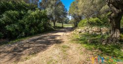 Country Home For Sale Nearby Porto Cervo Sardinia Ref Biagio 2