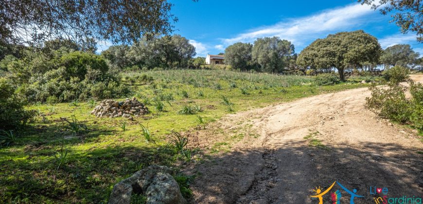 Country Home For Sale Nearby Porto Cervo Sardinia Ref Biagio 2