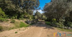 Country Home For Sale Nearby Porto Cervo Sardinia Ref Biagio 2