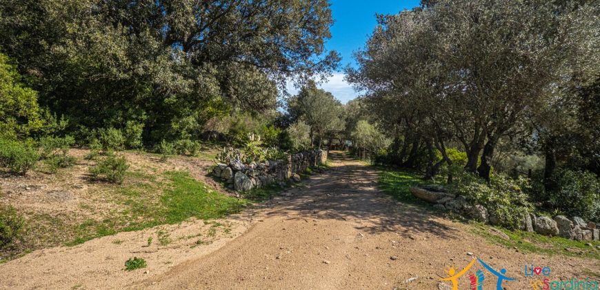 Country Home For Sale Nearby Porto Cervo Sardinia Ref Biagio 2