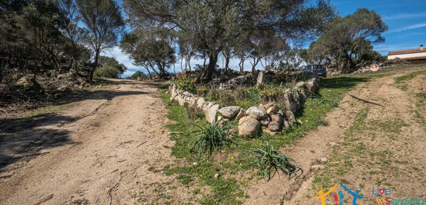 Country Home For Sale Nearby Porto Cervo Sardinia Ref Biagio 2