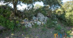 Country Home For Sale Nearby Porto Cervo Sardinia Ref Biagio 2