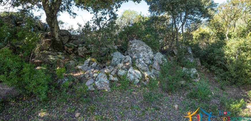 Country Home For Sale Nearby Porto Cervo Sardinia Ref Biagio 2