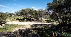 Country Home For Sale Nearby Porto Cervo Sardinia Ref Biagio 2