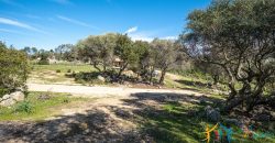 Country Home For Sale Nearby Porto Cervo Sardinia Ref Biagio 2