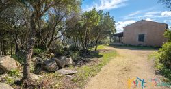 Country Home For Sale Nearby Porto Cervo Sardinia Ref Biagio 2