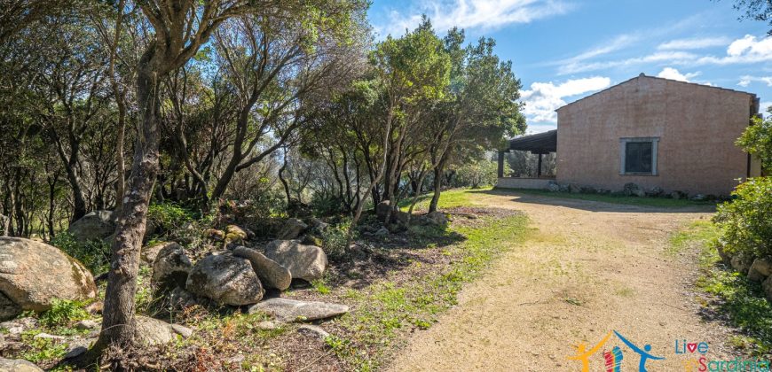 Country Home For Sale Nearby Porto Cervo Sardinia Ref Biagio 2