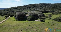 Farmhouse For Sale Arzachena ref Biagio 1