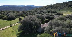 Farmhouse For Sale Arzachena ref Biagio 1