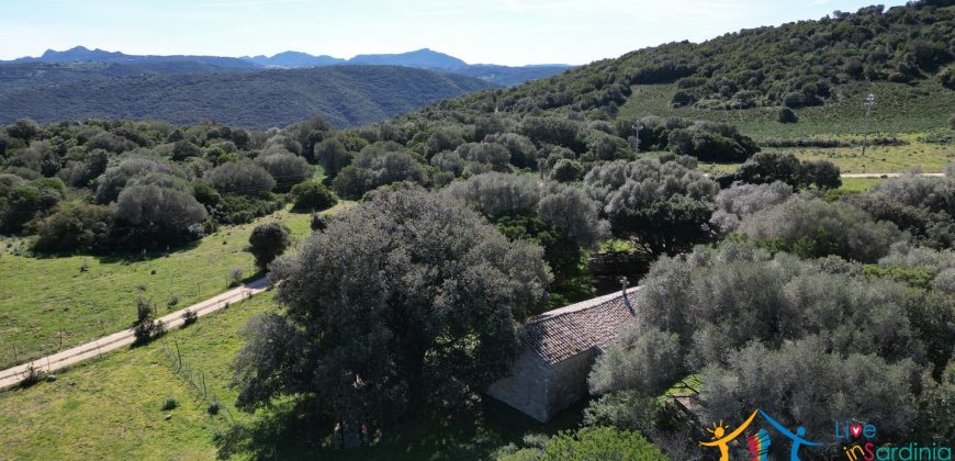 Farmhouse For Sale Arzachena ref Biagio 1