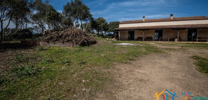 Farmhouse For Sale Arzachena ref Biagio 1