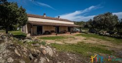 Farmhouse For Sale Arzachena ref Biagio 1