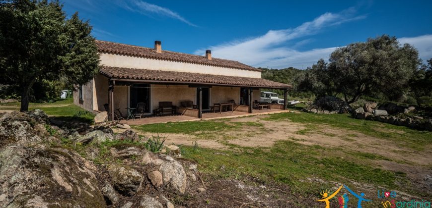 Farmhouse For Sale Arzachena ref Biagio 1