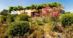 Sea View Villa For Sale Olbia Sardinia ref Ulivi
