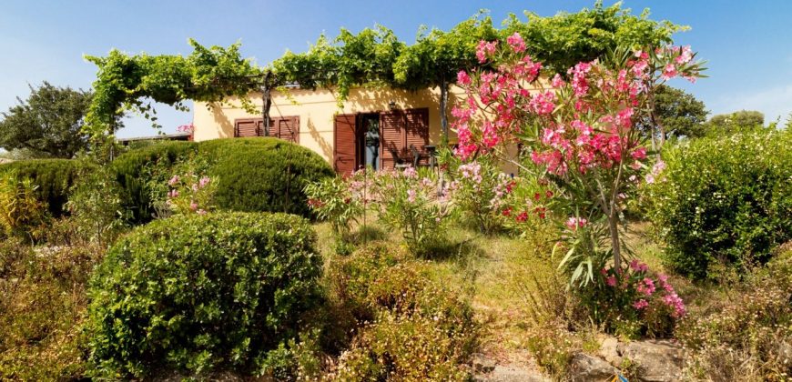 Sea View Villa For Sale Olbia Sardinia ref Ulivi