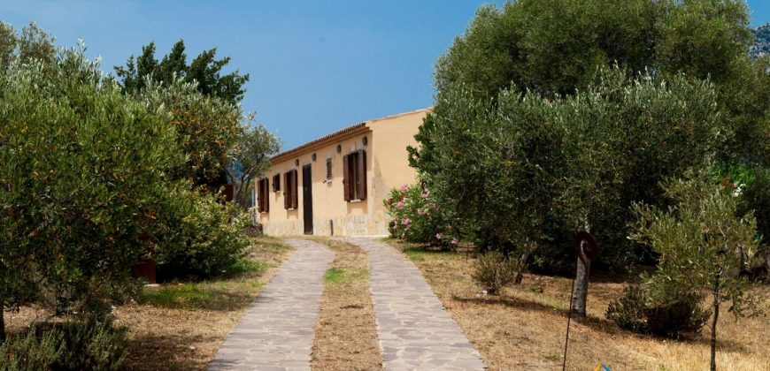 Sea View Villa For Sale Olbia Sardinia ref Ulivi
