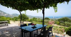 Sea View Villa For Sale Olbia Sardinia ref Ulivi