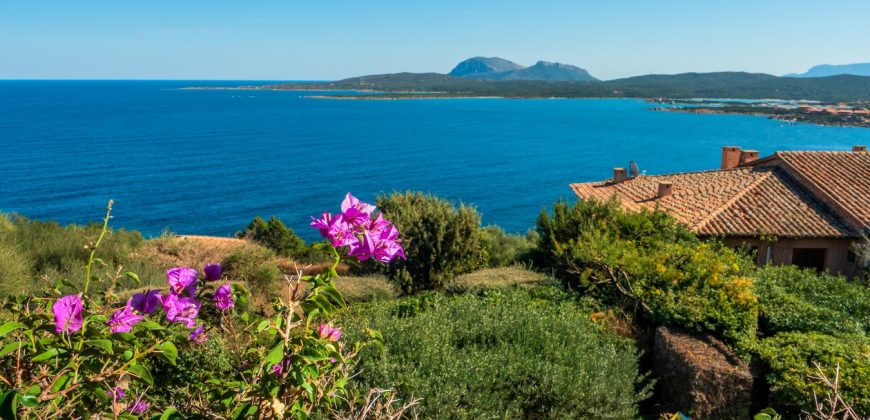 Home For Sale Porto Rotondo Sardinia Ref S177