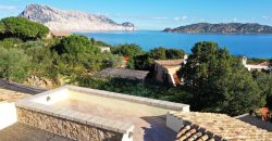 Villa For sale Cala Ginepro San Teodoro ref Dec23