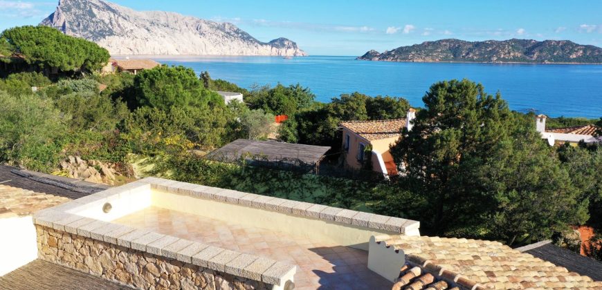 Villa For sale Cala Ginepro San Teodoro ref Dec23