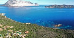 Villa For sale Cala Ginepro San Teodoro ref Dec23