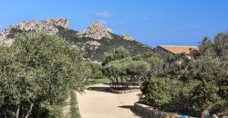 Country Homes  For Sale In San Pantaleo Sardinia ref Lu Entu