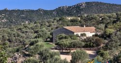 Country Homes  For Sale In San Pantaleo Sardinia ref Lu Entu