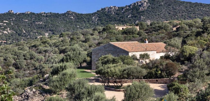 Country Homes  For Sale In San Pantaleo Sardinia ref Lu Entu