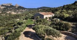 Country Homes  For Sale In San Pantaleo Sardinia ref Lu Entu